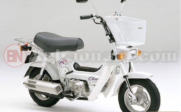 Xe Máy Chaly 50Cc - Chiếc Minibike Được Nhiều Người Ưa Chuộng -  Xechaydien.Com
