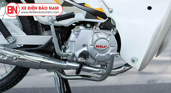 cub-halim-6