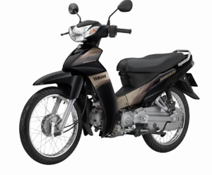 Cảnh Báo: Nhiều Người Mua Nhầm Sirius 50cc Giả Giá Rẻ Trên Mạng! - xedienbaonam.com