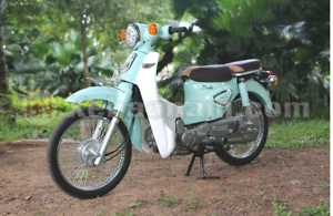 Giải Mã Sức Hút Xe Cub 50cc 2025 – Vì Sao Mẫu Xe “Hoài Cổ” Này Vẫn Được Ưa Chuộng? - xedienbaonam.com