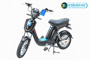 Xe đạp điện Nijia Avenger 2019 màu đen