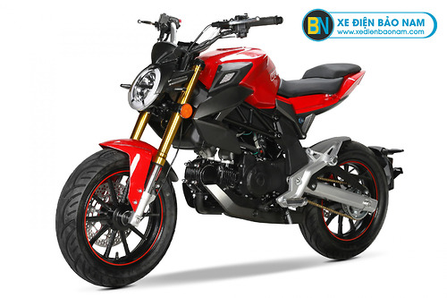 Xe mini 50cc giá 1 triệu  Shop bán xe moto mini HonDa giá rẻ chất lượng