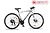 Xe đạp thể thao Fornix FR303 mới nhất màu trắng