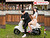 Xe ga 50cc Crea Hyosung màu vàng