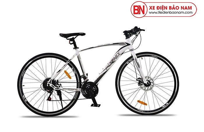 Xe đạp thể thao Fornix FR303 mới nhất màu trắng