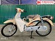 Xe Máy 50cc Cub Dealim RC màu trắng sữa