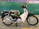 Xe Máy 50cc Cub Dealim RC màu xanh đậm