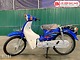 Xe Máy 50cc Cub Dealim RC màu xanh dương