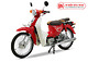 XE Máy 50cc CUB 81 NEW