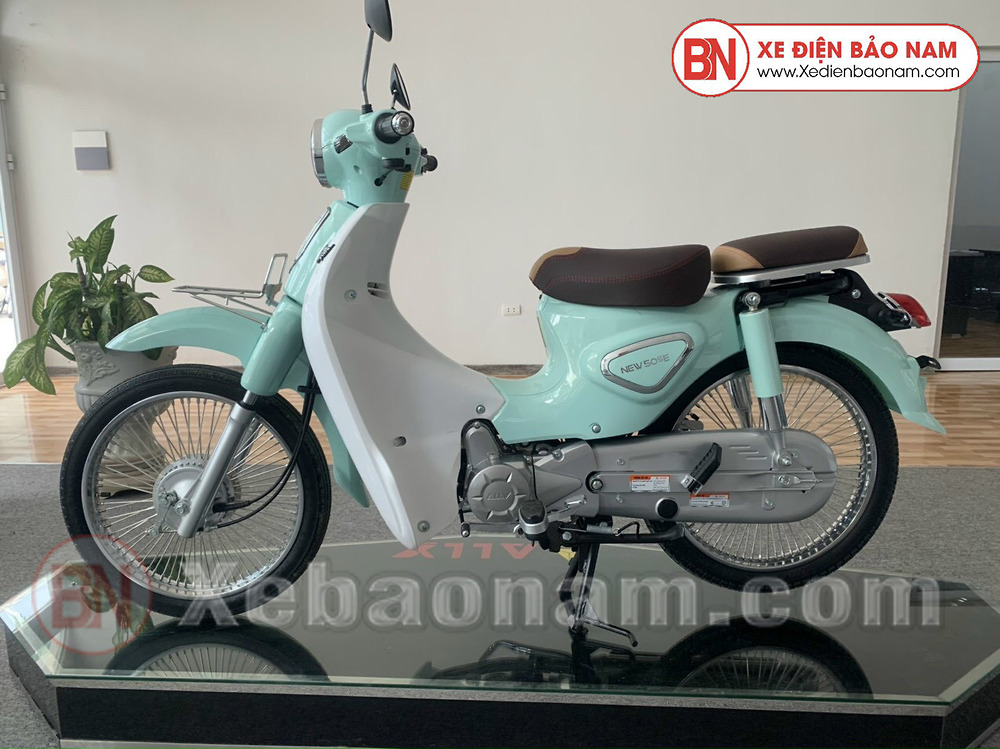 Xe Máy 50cc Cub New Ally 2023 Xe Máy Điện Cao Cấp Đẳng Cấp Thế Giới 50cc