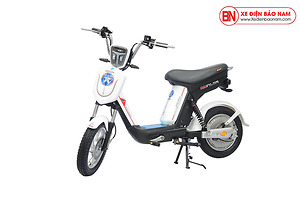 Xe Đạp Điện Nijia Cap-A