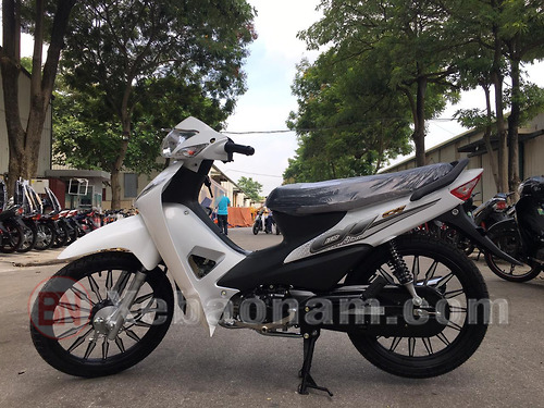 Giá xe Wave 50cc mới nhất 2708  Giá lăn bánh và đại lý