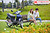 Xe máy Wave 50cc màu xanh ngọc