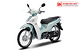 Xe Máy 50cc Angela Chính Hãng SYM (Màu Mới)