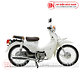Xe Máy 50cc Cub New Ally