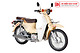 Xe Máy 50cc Cub Halim 2021 Màu Vàng Kem