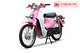 Xe Máy 50cc Cub JAPAN kiểu 81 Màu Hồng