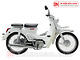Xe Máy 50cc Cub Classic Ally