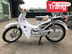 Xe Máy 50cc Cub 81 Sunny Chính Hãng Yalim