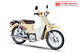 Xe Máy 50cc Cub Dealim RC